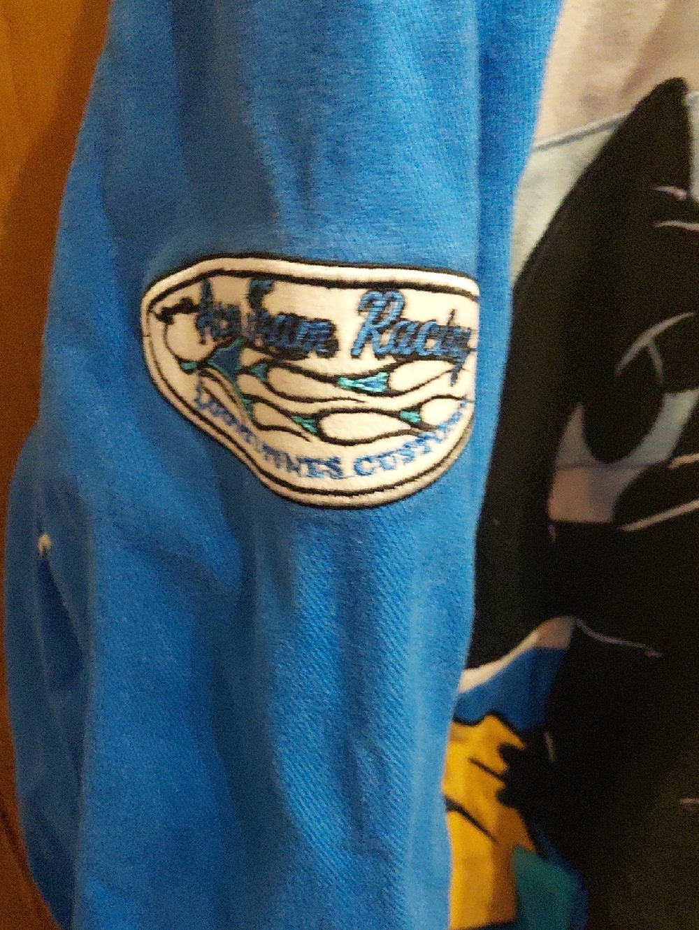 Looney Tunes Daffy Duck LOT 92 Colorblock Racing Jacket - Teal & Blue 2XL - Picture 2 of 7